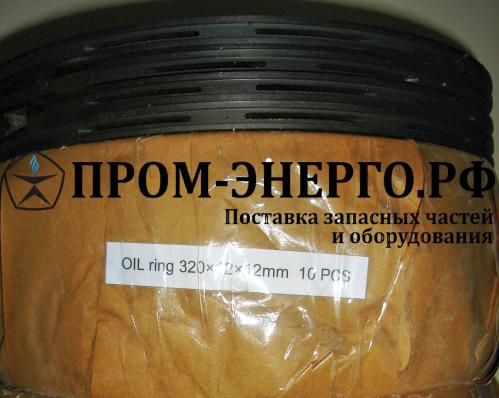 NVD48A-2U Кольцо маслосъемное с прорезом F 320/296,6x12  51127510