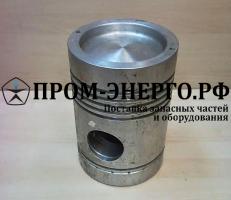 NVD36 Поршень безнаддувный 641-07001